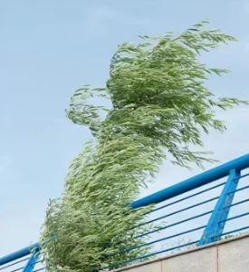 Expandable 40Ft Mobile Container House Expandable 40Ft Mobile Container House